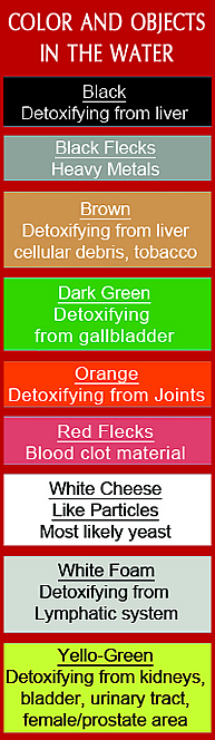 Feet Detox Colors