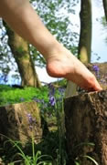 Foot Spa Detox